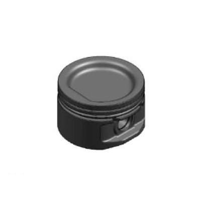 Juego de Pistones - P1600VC1 075