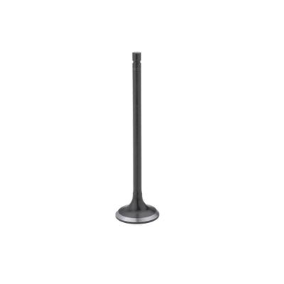 VALVULAS DE MOTOR - S-7060 STD