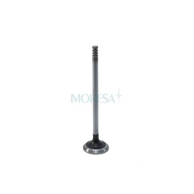 VALVULAS DE MOTOR - S-7142 STD