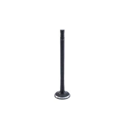 VALVULAS DE MOTOR - S-7206 STD