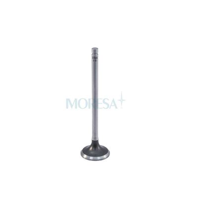 VALVULAS DE MOTOR - S-7946 STD