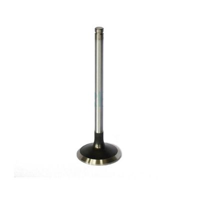 VALVULAS DE MOTOR - S-9680 015