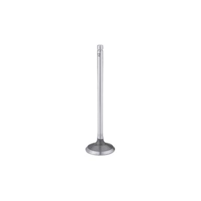 VALVULAS DE MOTOR - S-9736 STD
