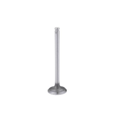 VALVULAS DE MOTOR - S-9828 STD