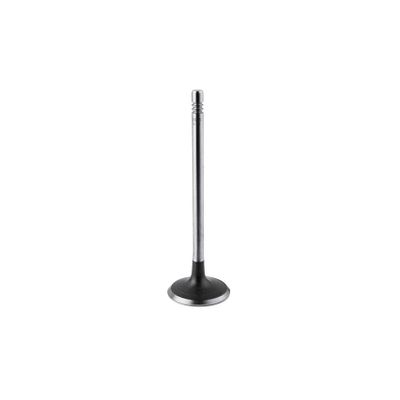 VALVULAS DE MOTOR - S-9868 STD
