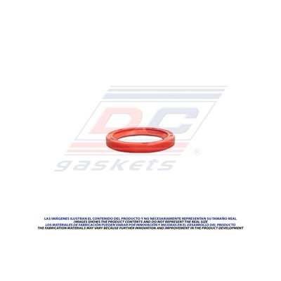 Juego de Tapa de Distribucion - TC-6303-1