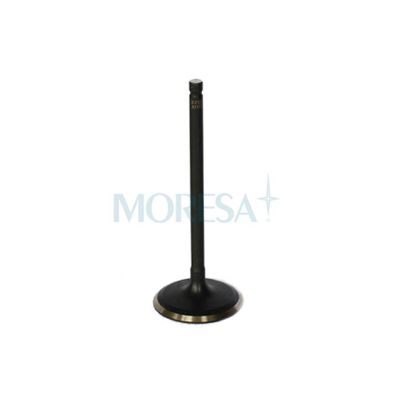 VALVULAS DE MOTOR - V-7123 STD